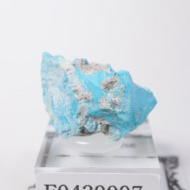 ���꡼�ԥ󥰥ӥ塼�ƥ����ۻ��� ����������