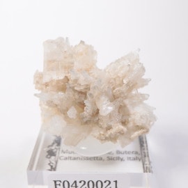 �����ꥢ�� ���쥹�ƥ���