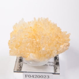 �����ꥢ�� ���쥹�ƥ���