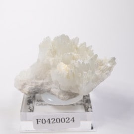 �����ꥢ�� ���쥹�ƥ���