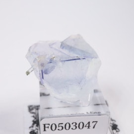 �䥪���󥷥��ۻ��� �ե����饤��