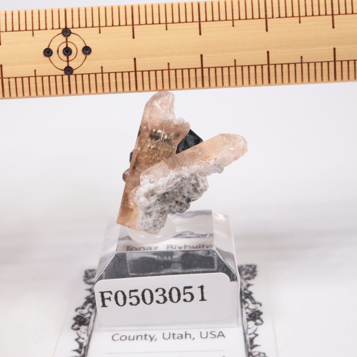 ソーラーウィンド鉱山 トパーズ、ビクスビアイト | 鉱物標本,タ