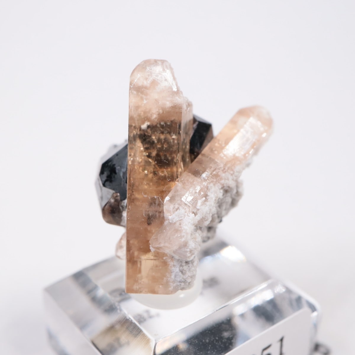 ソーラーウィンド鉱山 トパーズ、ビクスビアイト | 鉱物標本,タ