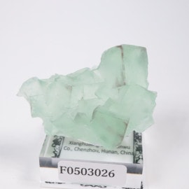 �����ե������ �ե����饤��