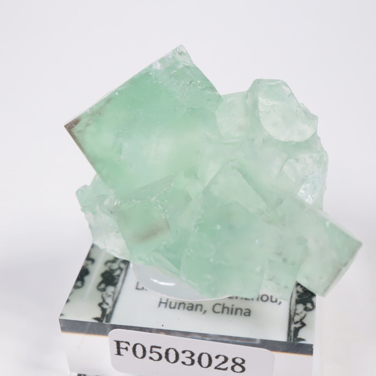 シャンファーリン産 フローライト | 鉱物標本,ハ行,フローライト/蛍石