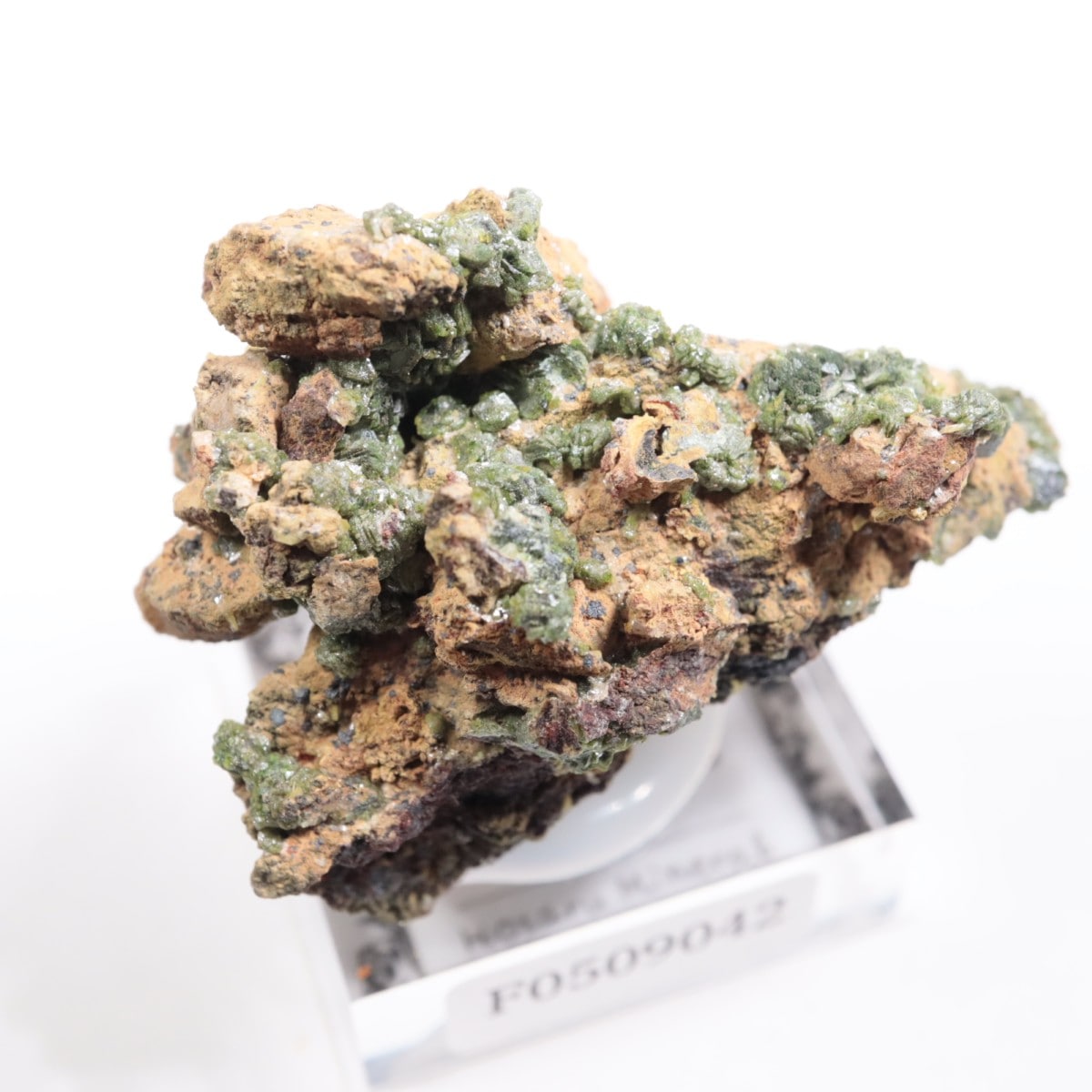 綺麗な緑！タタフィン隕石　標本　大きいのは価値がある! 綺麗な緑！タタフィン隕石 標本 大きいのは価値がある! 希少隕石！輝く