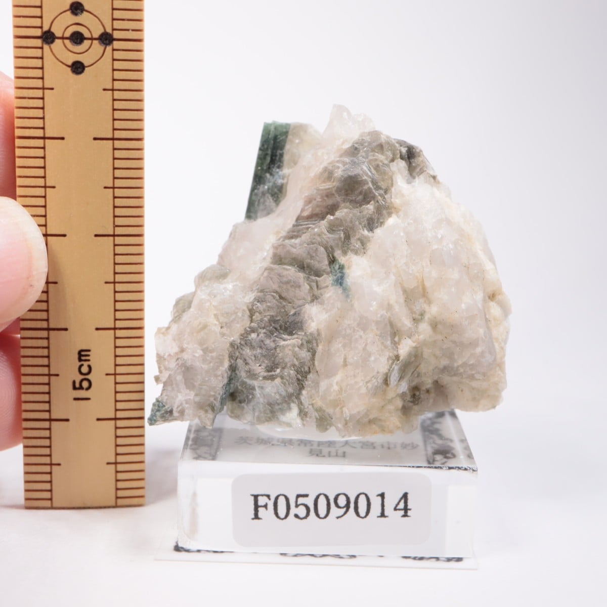 茨城県常陸大宮市妙見山産 エルバイト | 鉱物標本,タ行,トルマリン