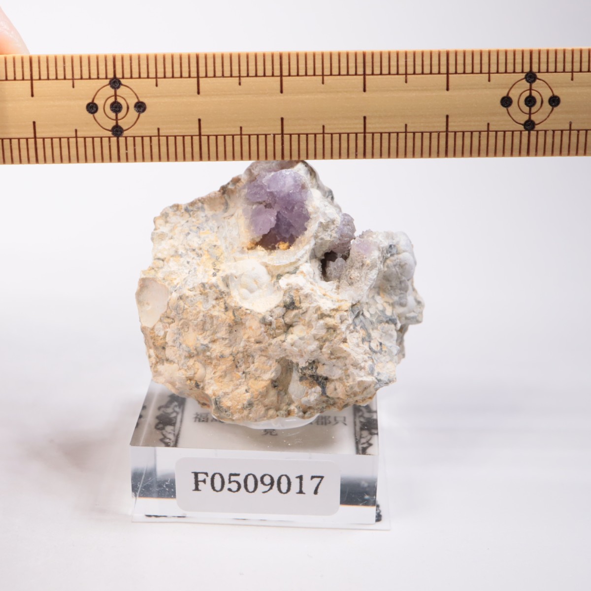 福島県南会津郡只見産 かぐや姫水晶 | 鉱物標本,カ行,クォーツ/水晶