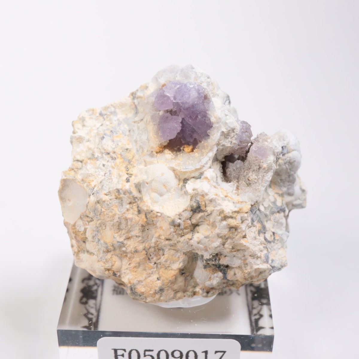 福島県南会津郡只見産 かぐや姫水晶 | 鉱物標本,カ行,クォーツ/水晶