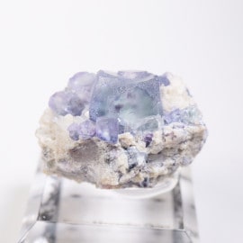 ���󥴥뻺 �ե����饤��