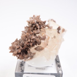 �ᥭ������ �ե����饤�ȡ����륵����