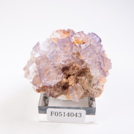 �ᥭ������ �ե����饤��