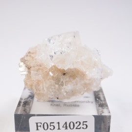 ����ͥ��륹���� �ե����饤��