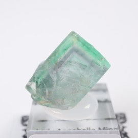 ��ǥ����ʥ٥�ۻ��� �ե����饤��