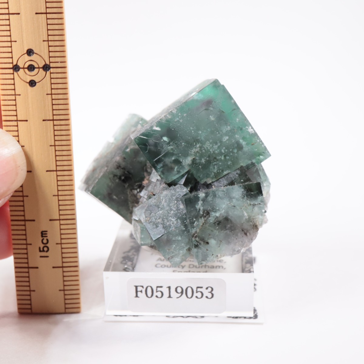 Helens pocket産　フローライト　蛍石　原石　鉱物　鉱物標本 Helens Pocket産 フローライト | 鉱物標本,ハ行,フローライト/蛍石