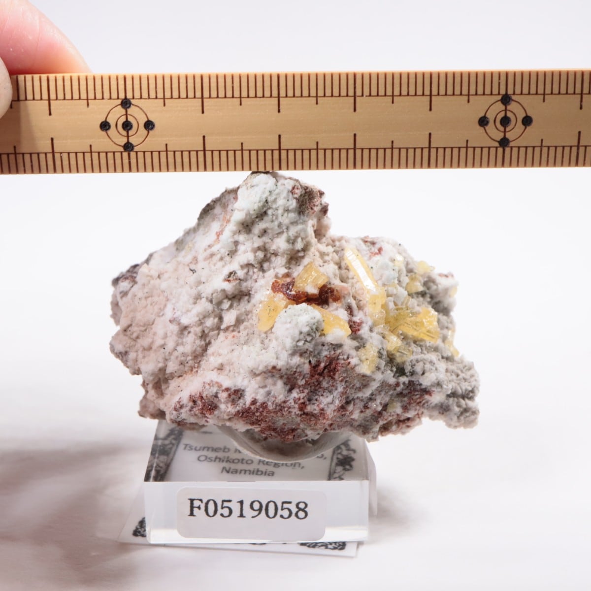 ミメタイト　ミメット鉱　鉱物標本 ツメブ鉱山産 ミメタイト | 鉱物標本,マ行,ミメッタイト/ミメット鉱