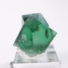 Greedy Hog Pocket�� �ե����饤��