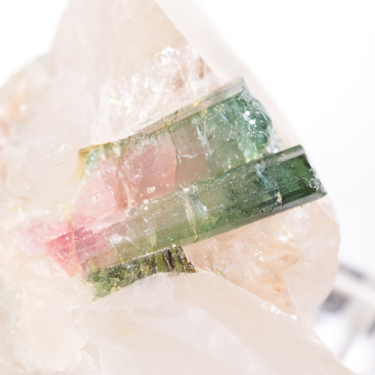 ブラジル産 トルマリン | 鉱物標本,タ行,トルマリン/電気石 | ほたるみ