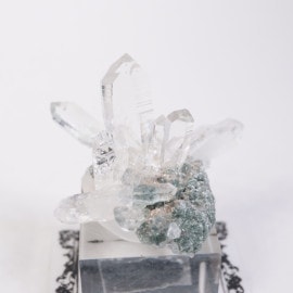 ������ӥ��� ��������