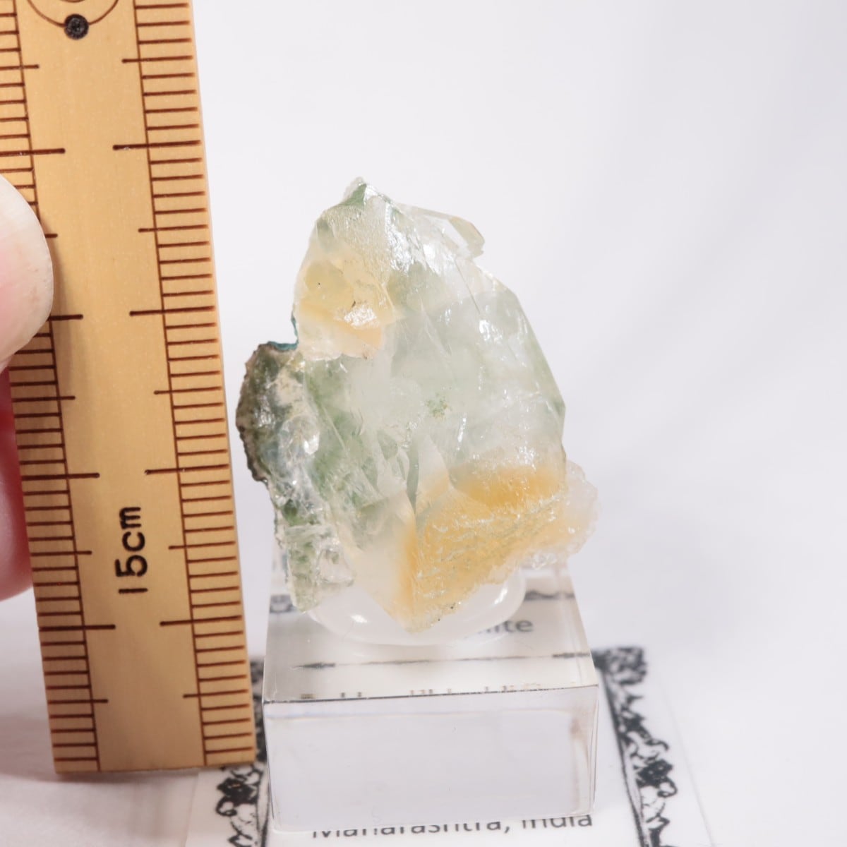 インド産 アポフィライト | 鉱物標本,ア行,アポフィライト/魚眼石