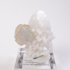 ���󥴥뻺 �ե����饤��