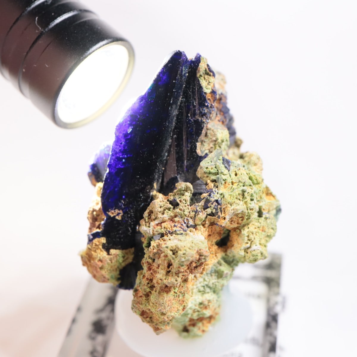 ツメブ鉱山産 アズライト | 鉱物標本,ア行,アズライト/藍銅鉱