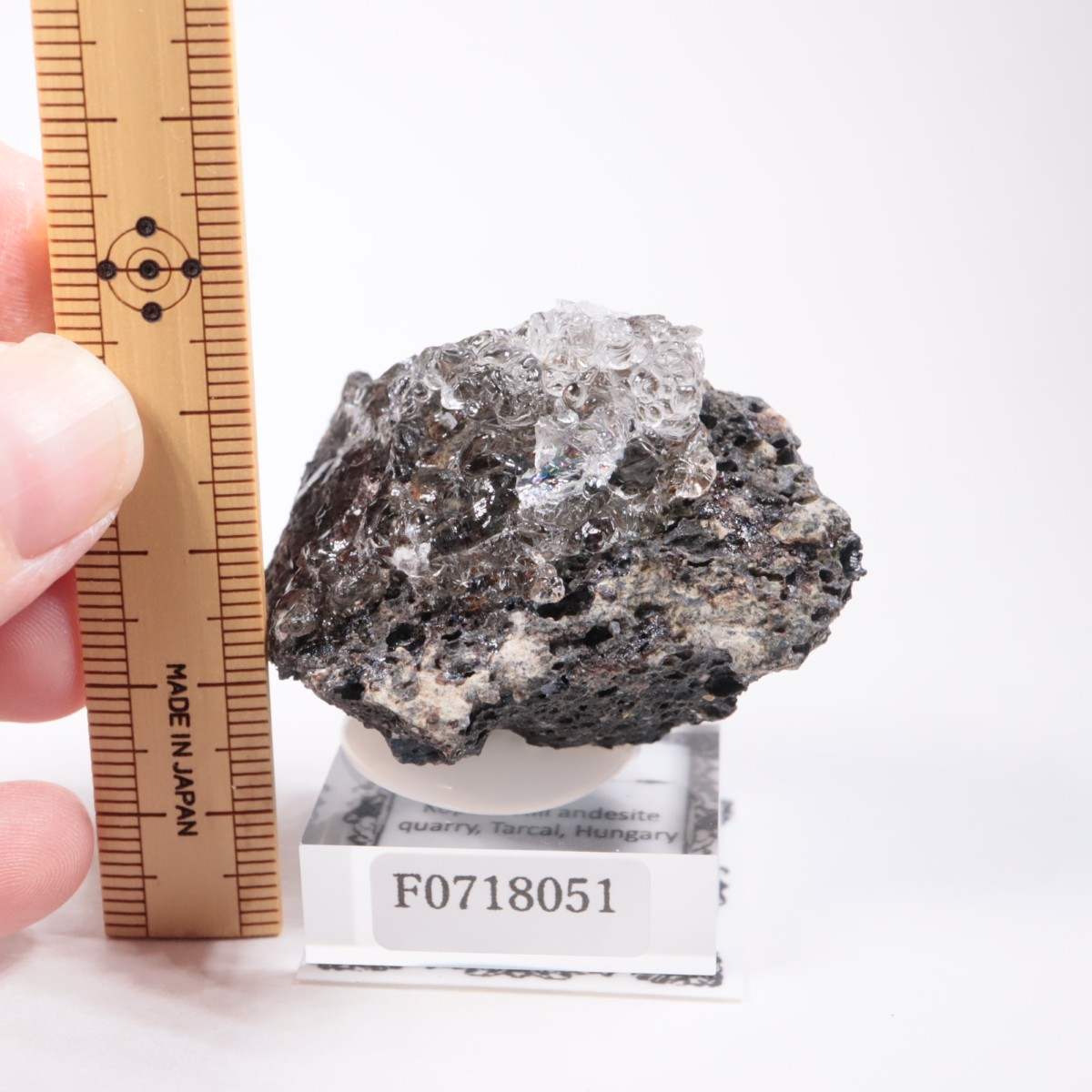 ハンガリー産 ハイアライトオパール | 鉱物標本,ア行,オパール/蛋白石