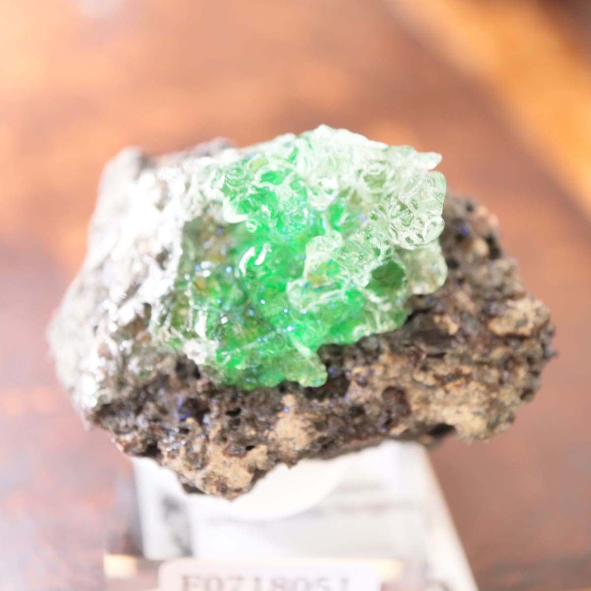 ハンガリー産 ハイアライトオパール | 鉱物標本,ア行,オパール/蛋白石