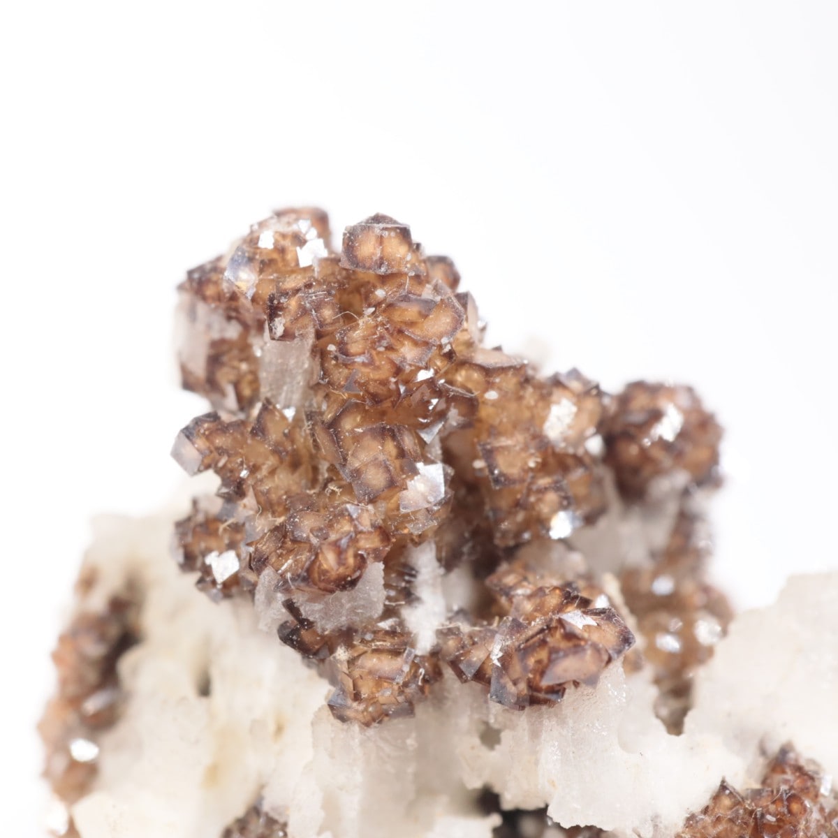 シデライト　モロッコ モロッコ産 シデライト | 鉱物標本,その他の鉱物 | ほたるみねら