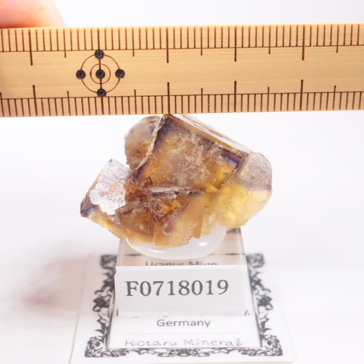 ドイツ産 フローライト | 鉱物標本,ハ行,フローライト/蛍石 | ほたるみ