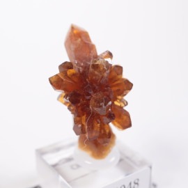 ����å��� ���ȥ��