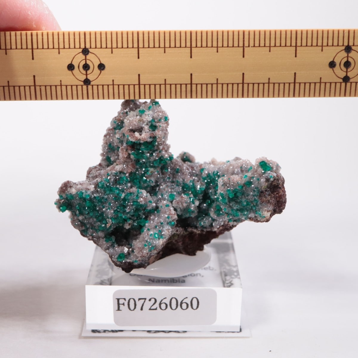 ツメブ鉱山産 ダイオプテーズ | 鉱物標本,タ行,ダイオプテーズ/翠銅鉱