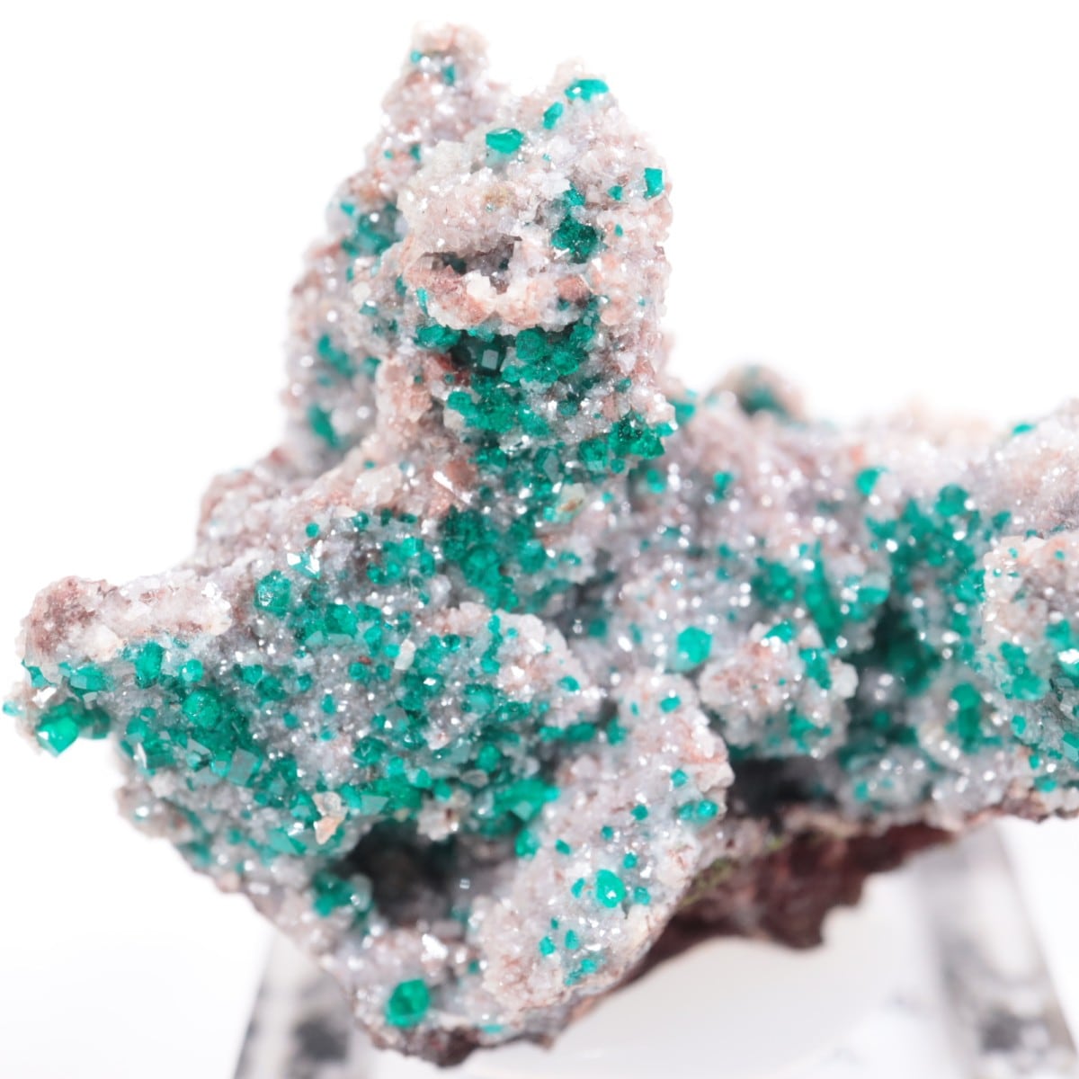 ナミビア ツメブ鉱山 ダイオプテーズ(翠銅鉱) 鉱物標本 ツメブ鉱山 ダイオプテーズ | 鉱物標本,タ行,ダイオプテーズ/翠銅鉱