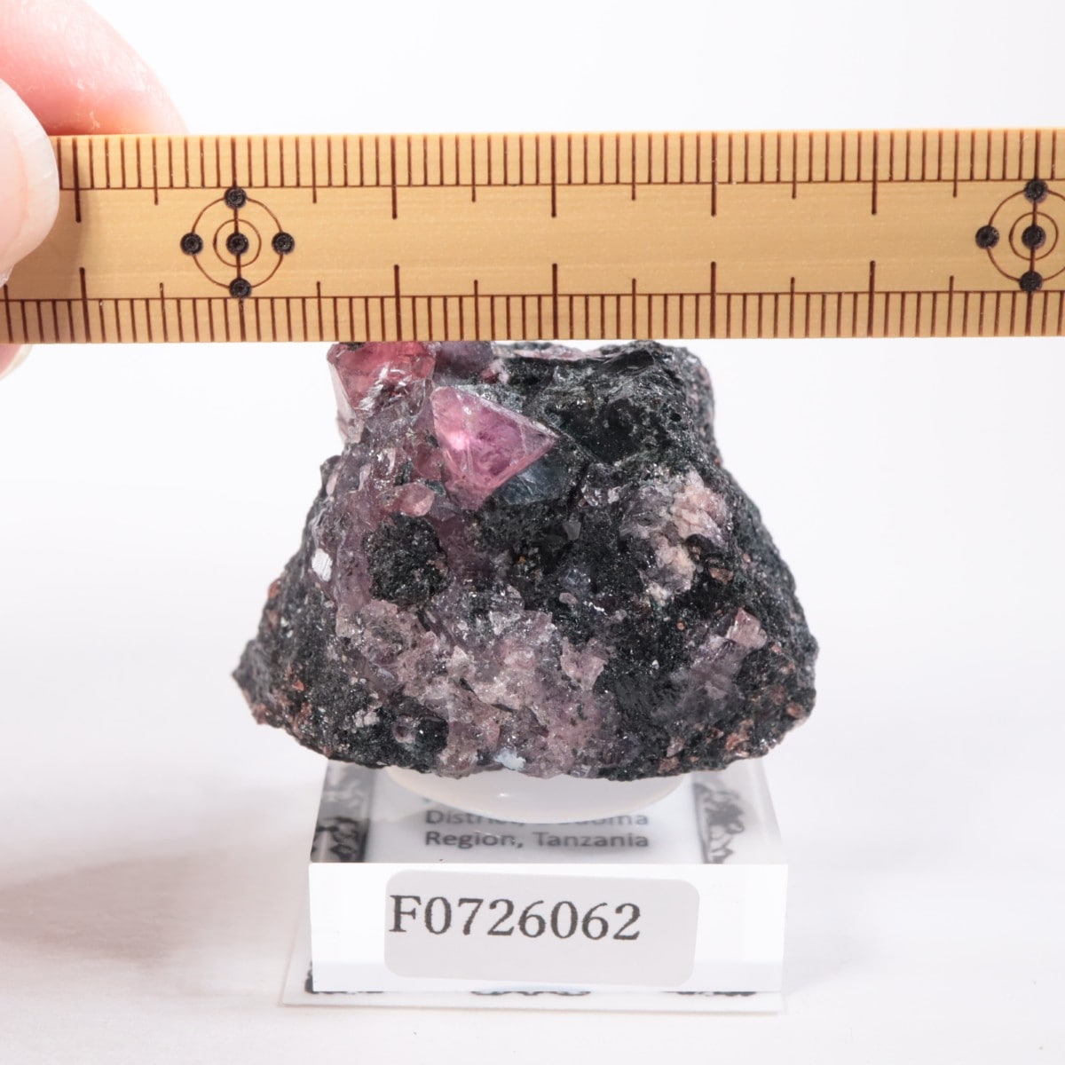 【87g】タンザニア産 ルビー in ゾイサイト鉱物標本 0050083402404002.jpg