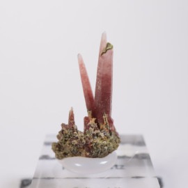 �ڥ롼�� ��åɥ�������