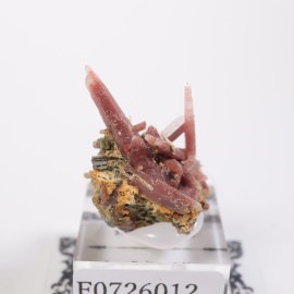 �ڥ롼�� ��åɥ�������