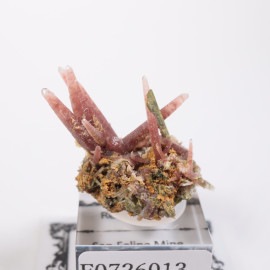 �ڥ롼�� ��åɥ�������