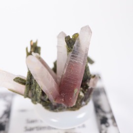 �ڥ롼�� ��åɥ�������