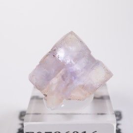 オコルス鉱山　フローライト原石　鉱物 オコルス鉱山産 フローライト | 鉱物標本,ハ行,フローライト/蛍