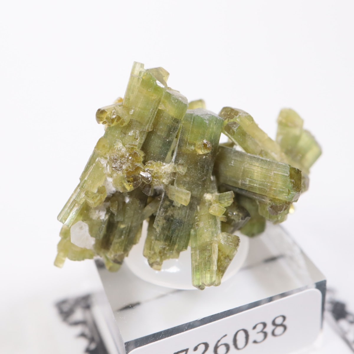 (25812) ブラジル産 トルマリン 鉱物標本 原石 鉱物標本】トルマリン ブラジル産 25812) ブラジル産 トルマリン