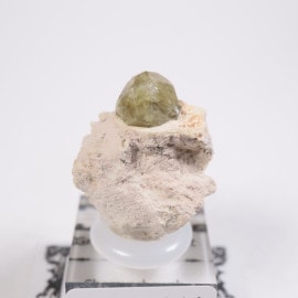 �������� ��������顼�����ͥå�