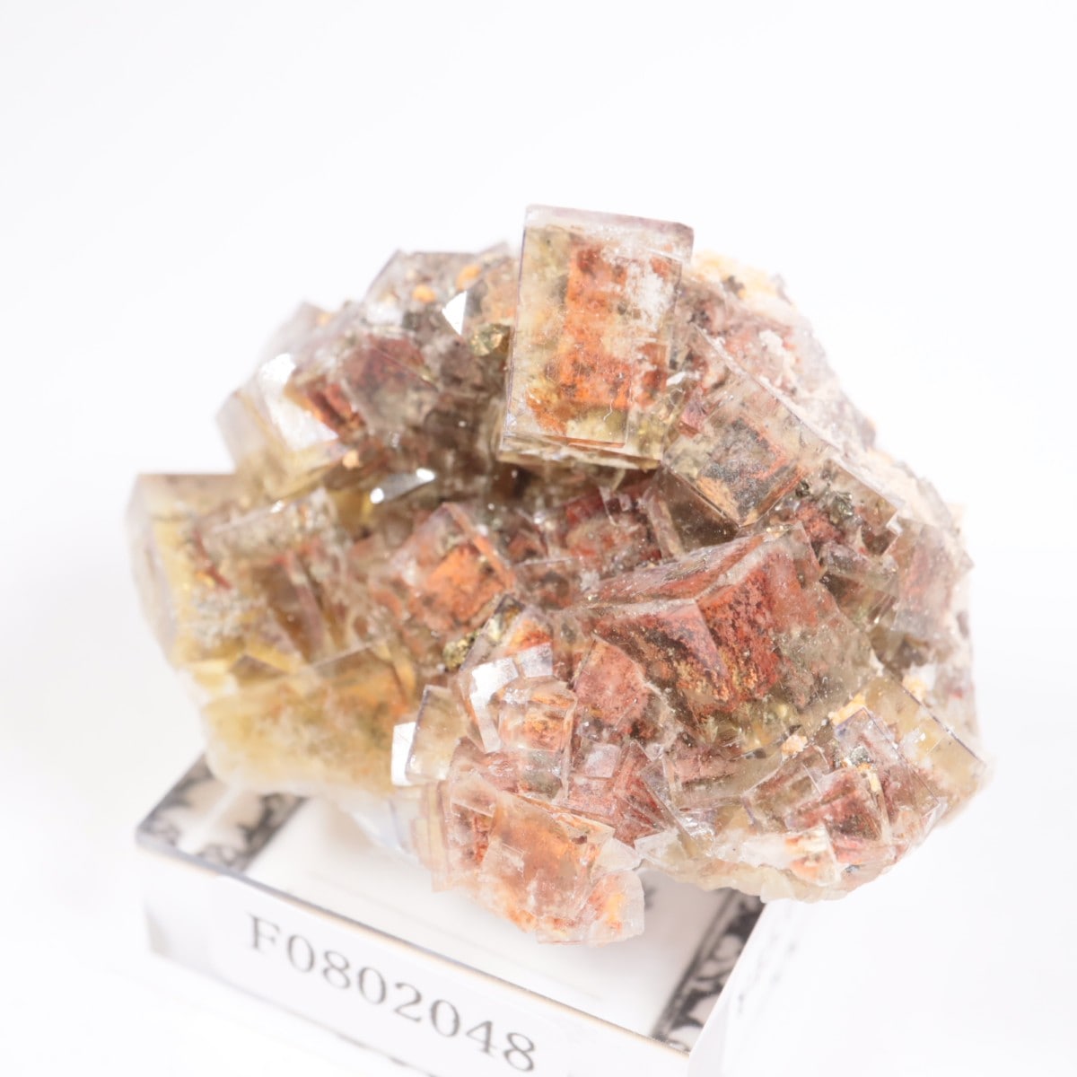 シャフト33 フローライト | 鉱物標本,ハ行,フローライト/蛍石 | ほたる