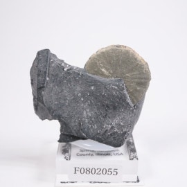 ����Υ��� �ѥ��饤�ȥ��顼