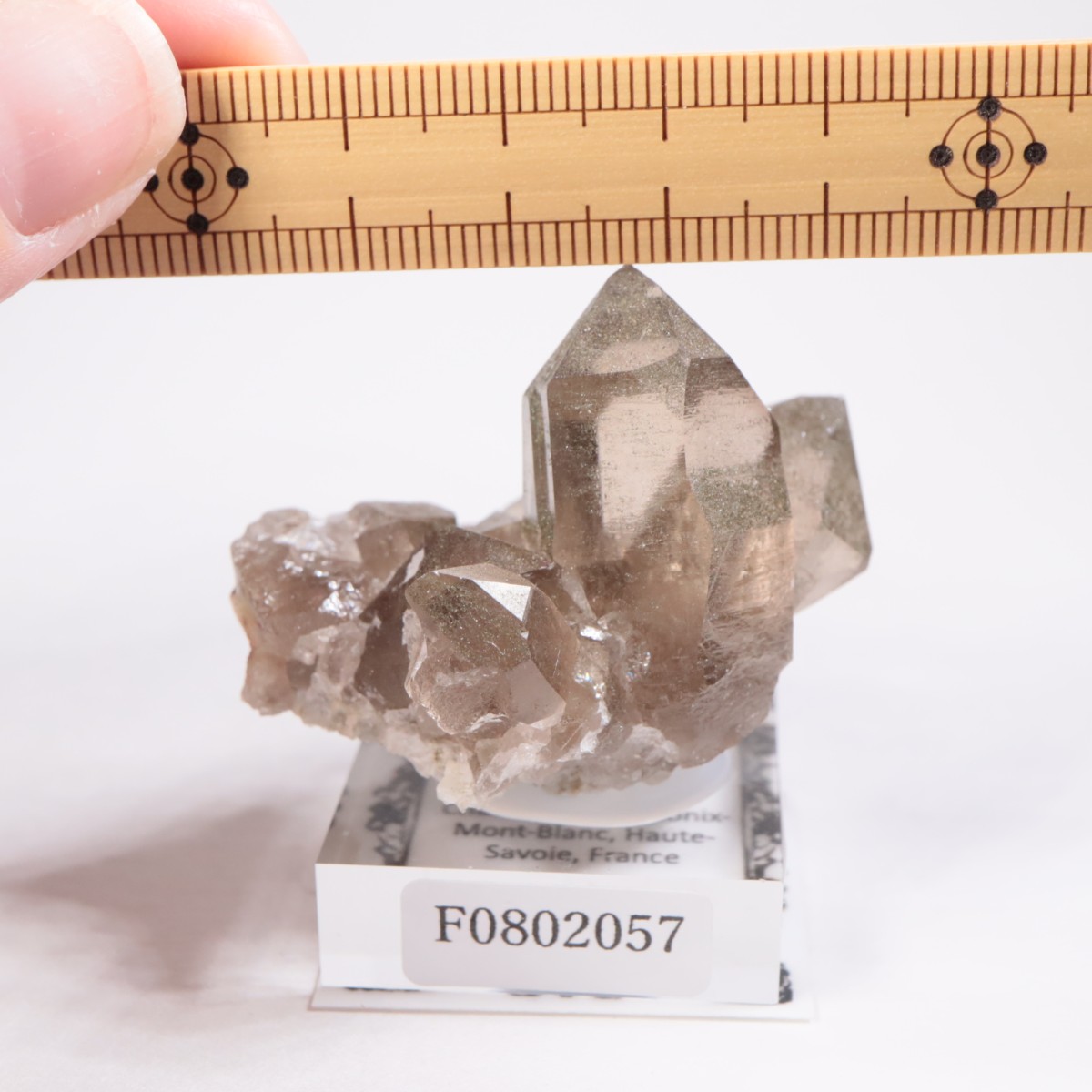 フランス産 スモーキークォーツ | 鉱物標本,サ行,スモーキークォーツ