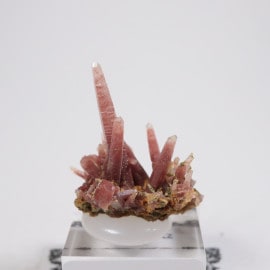 �ڥ롼�� ��åɥ�������