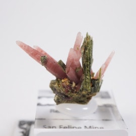 �ڥ롼�� ��åɥ�������