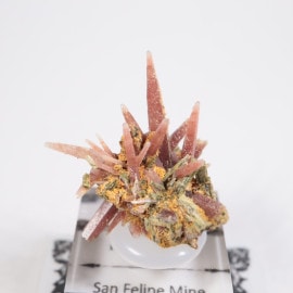 �ڥ롼�� ��åɥ�������