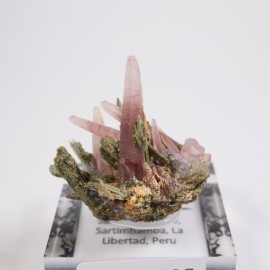 �ڥ롼�� ��åɥ�������