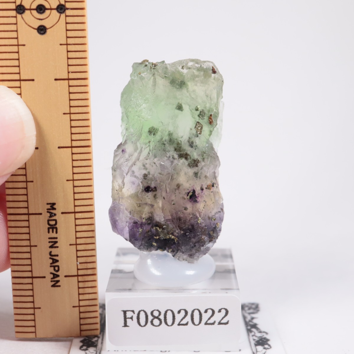 ドイツ産 フローライト | 鉱物標本,ハ行,フローライト/蛍石 | ほたるみ