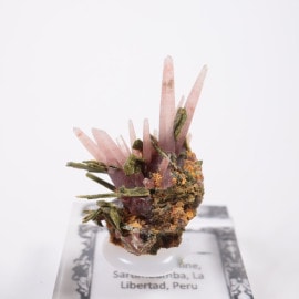 �ڥ롼�� ��åɥ�������